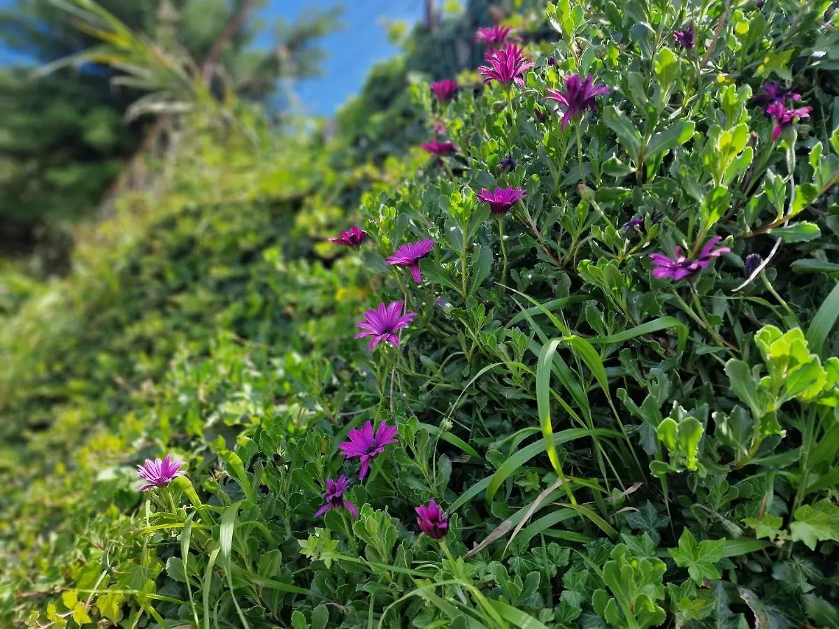 Madeira Sunset Cottage - Nature Retreat Ponta do Pargo